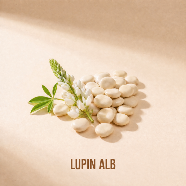 Lupin alb