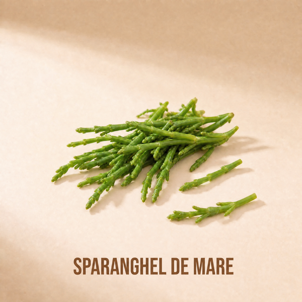 Sparanghel de mare