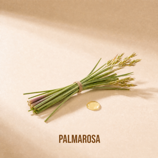 Palmarosa