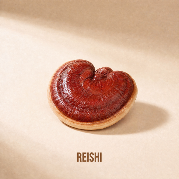 Reishi
