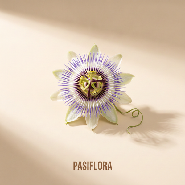 Floarea-pasiunii