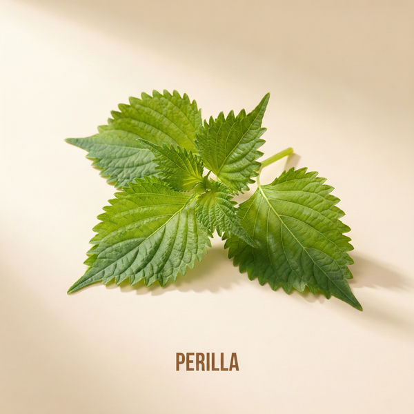 Perilla