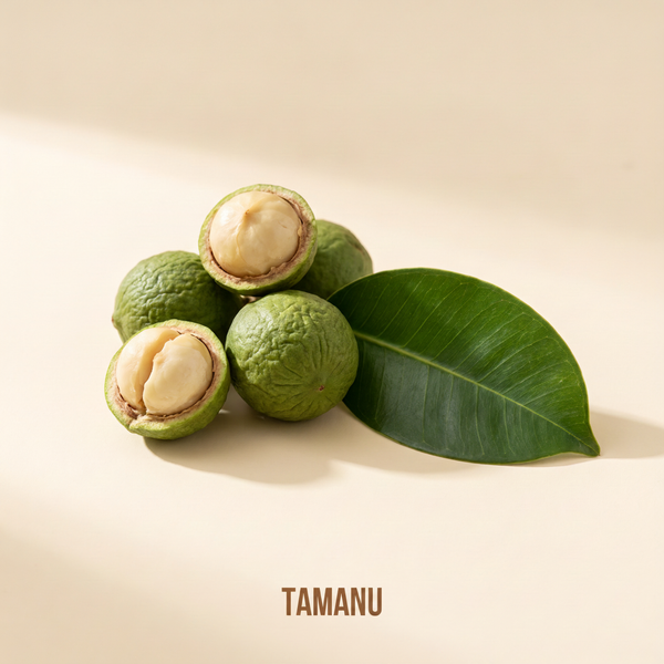 Tamanu
